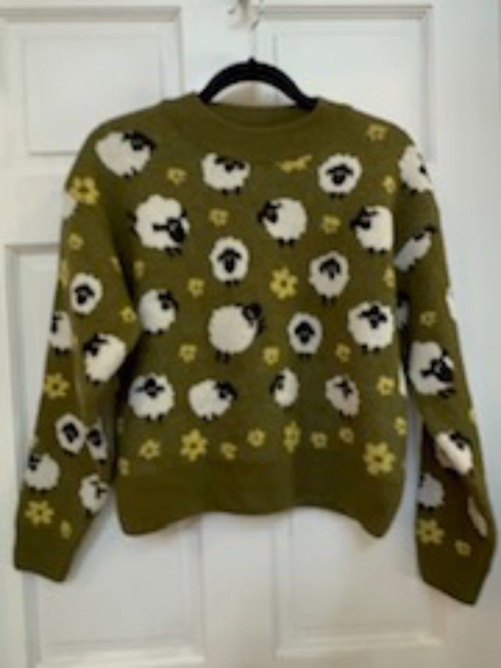Zara fun lamb sweater